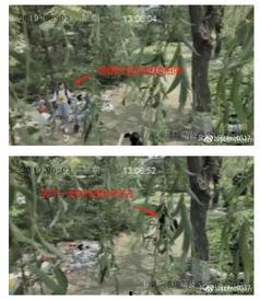 公园怎么吃瓜视频,跟随视频解锁清凉一夏