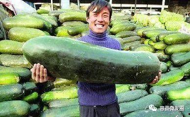 不爱吃宵夜吃瓜,揭秘不爱吃宵夜人群的独特饮食习惯