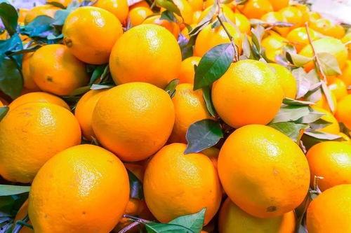 橙子在街头吃瓜,偶遇瓜界盛事