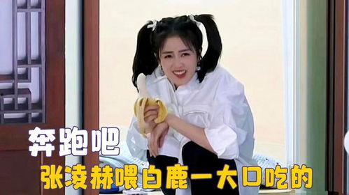 白鹿蹲着吃瓜,悠闲生活图景