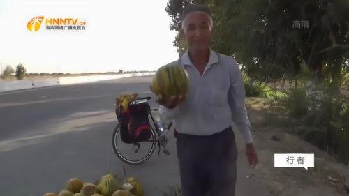 深圳吃瓜大叔,揭秘城市生活百态的趣味观察者