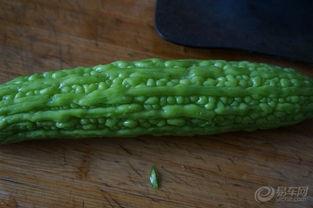 两蛤蟆吃瓜,夏日趣味盎然