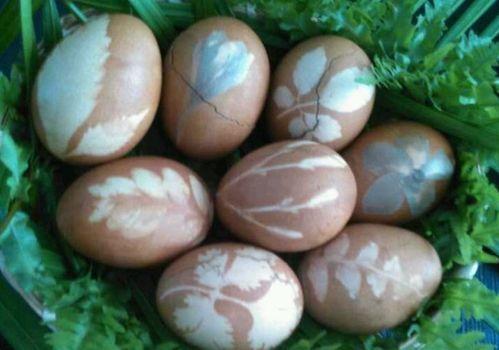 凤凰蛋吃瓜,揭秘吃瓜背后的惊人真相