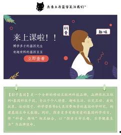 影子吃瓜视频,揭秘娱乐圈幕后故事