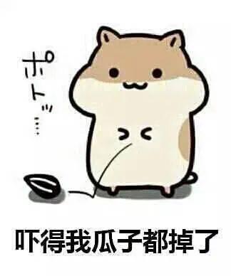 吃瓜群众怎么道歉