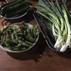 小张的吃瓜铺,揭秘瓜果新鲜背后的故事