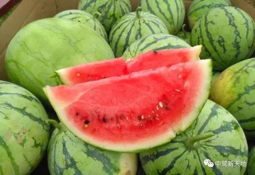 王妈吃瓜,揭秘娱乐圈那些不为人知的幕后故事