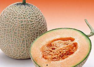 吃哈密瓜韩文,韩文中的甜蜜诱惑