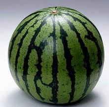 吃瓜都不吃瓜,揭秘“吃瓜都不吃瓜”的神秘现象