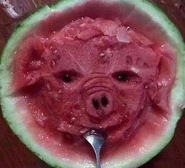 现在都有啥瓜不敢吃,当今社会，哪些“瓜”我们不敢吃？