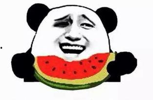 吃瓜群众阿蛮,揭秘娱乐圈那些事儿