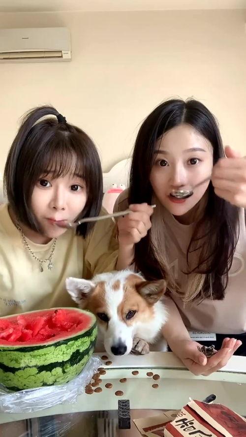 吃瓜 闺蜜,揭秘娱乐圈那些事儿