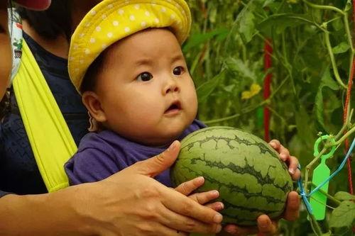 吃瓜群迷,网络社交新现象背后的故事