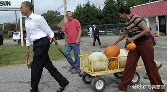 退休吃瓜,悠然自得，尽享吃瓜时光