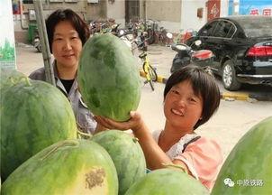 保定小区吃瓜,吃瓜群众的热议焦点