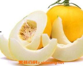 伊丽莎白瓜孕妇可以吃吗,孕妇食用指南与注意事项