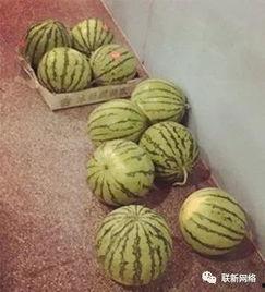 吃瓜人的吃瓜精神是什么