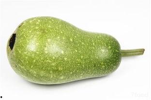 明月吃瓜,一场别开生面的吃瓜之旅