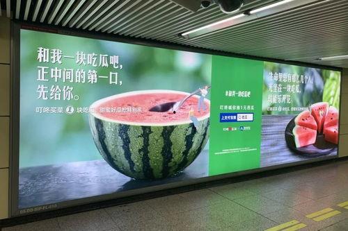 吃瓜文案营销,揭秘吃瓜文案如何引爆营销热潮