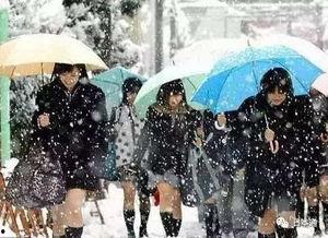 吃瓜少女滑雪,吃瓜少女的滑雪奇遇记