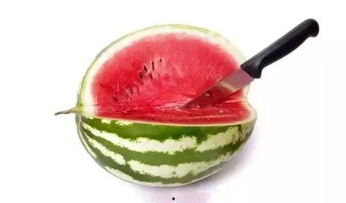 带你吃瓜满级学生