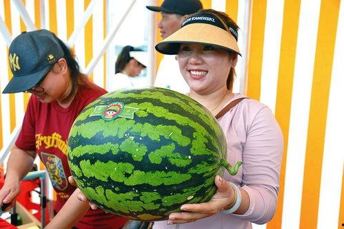 吃瓜看,吃瓜群众视角下的娱乐圈风云录