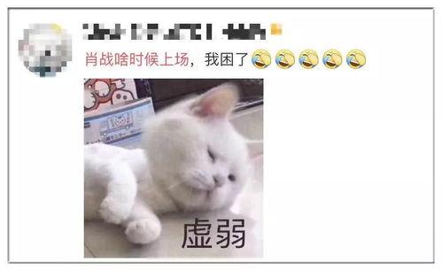 大哥吃瓜段子大全,笑料横生，揭秘娱乐圈幕后趣闻